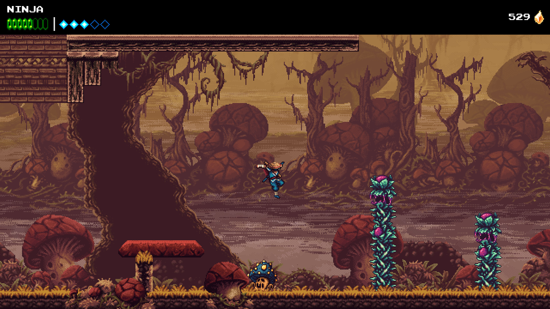Скриншот: The Messenger