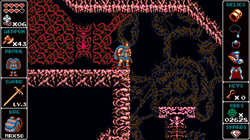 Скриншот: Odallus: The Dark Call