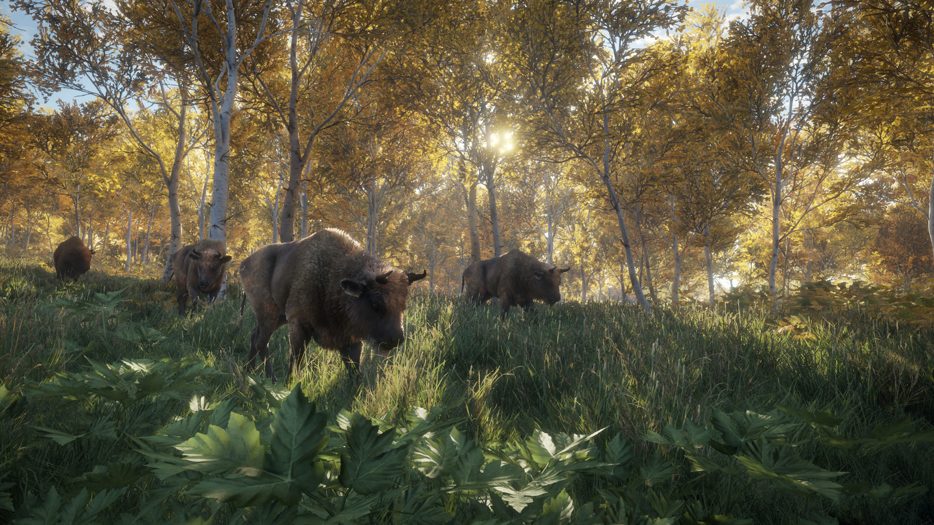 Скриншот: theHunter: Call of the Wild™