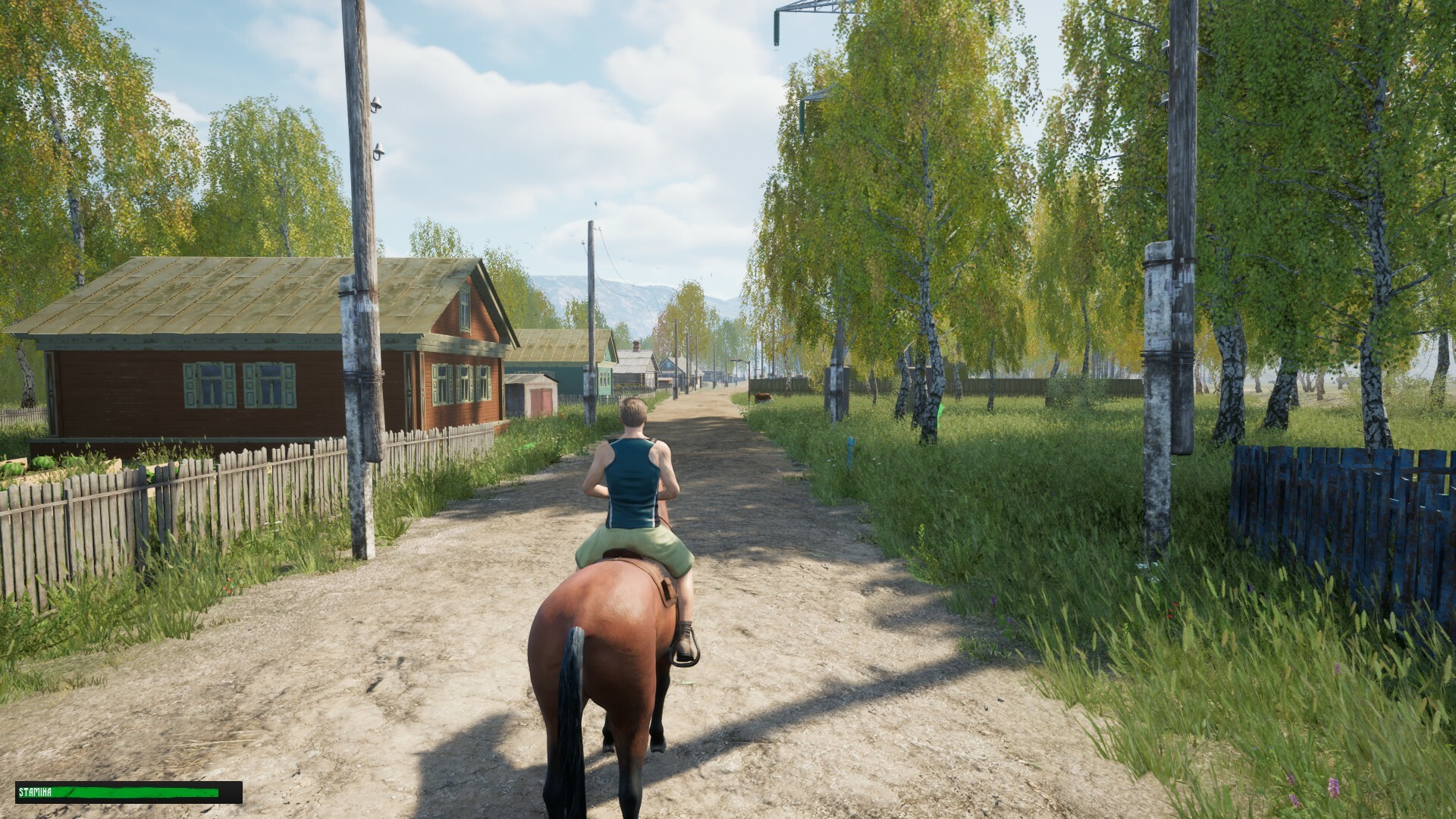 Скриншот: Russian Village Simulator