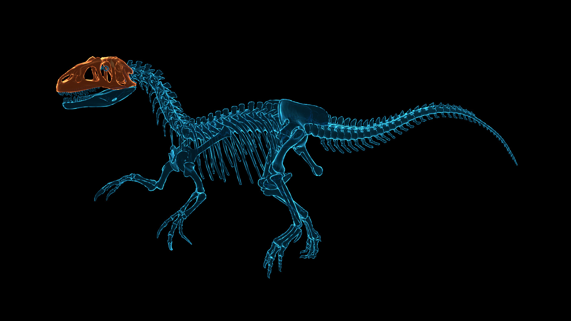 Скриншот: Dinosaur Fossil Hunter
