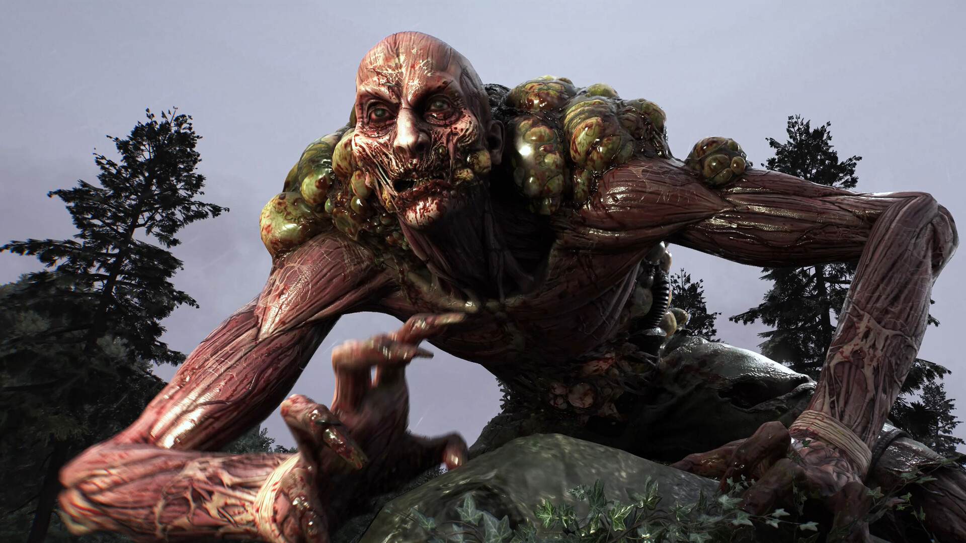 Скриншот: Dying Light: The Beast