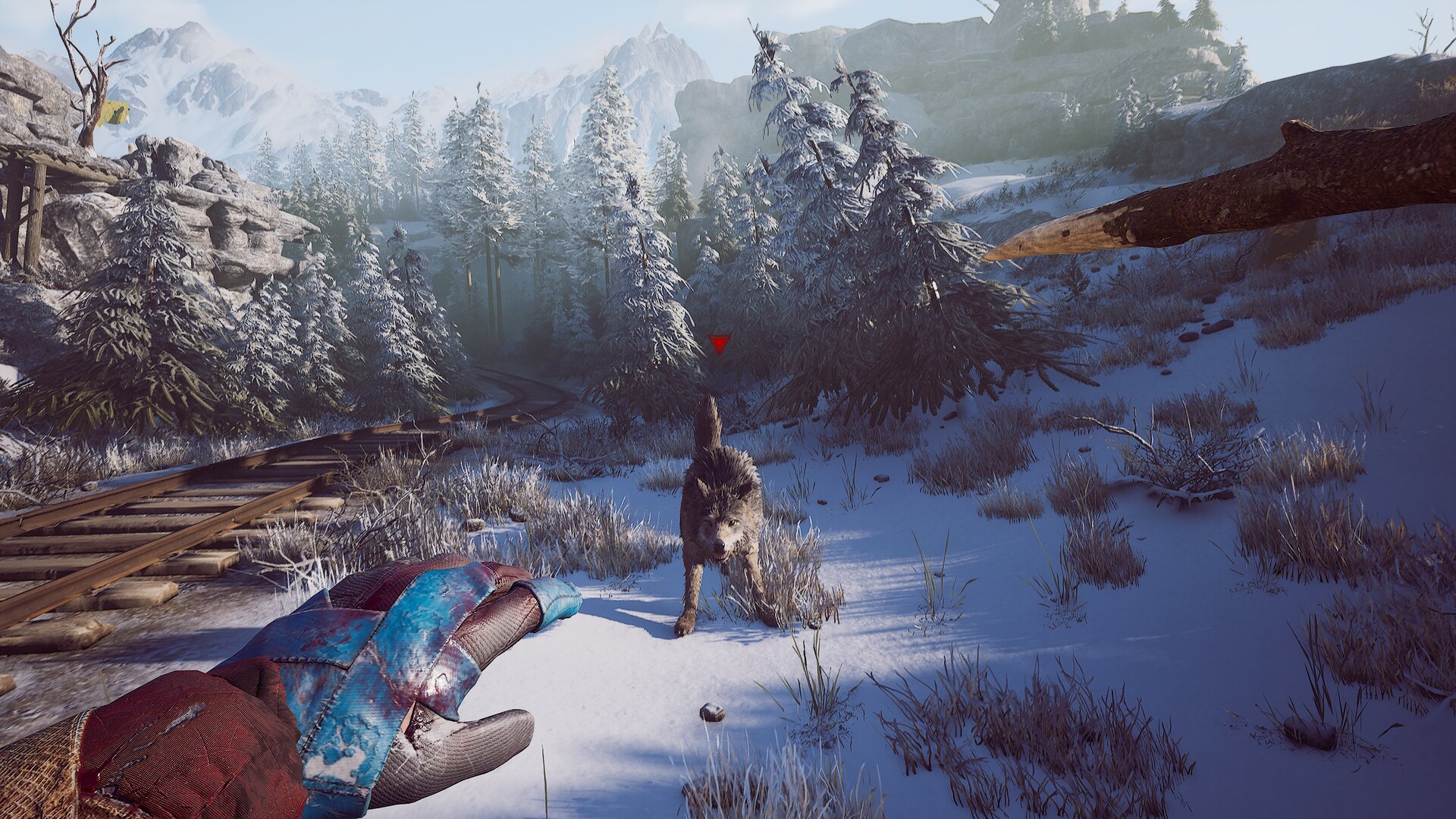 Скриншот: Winter Survival
