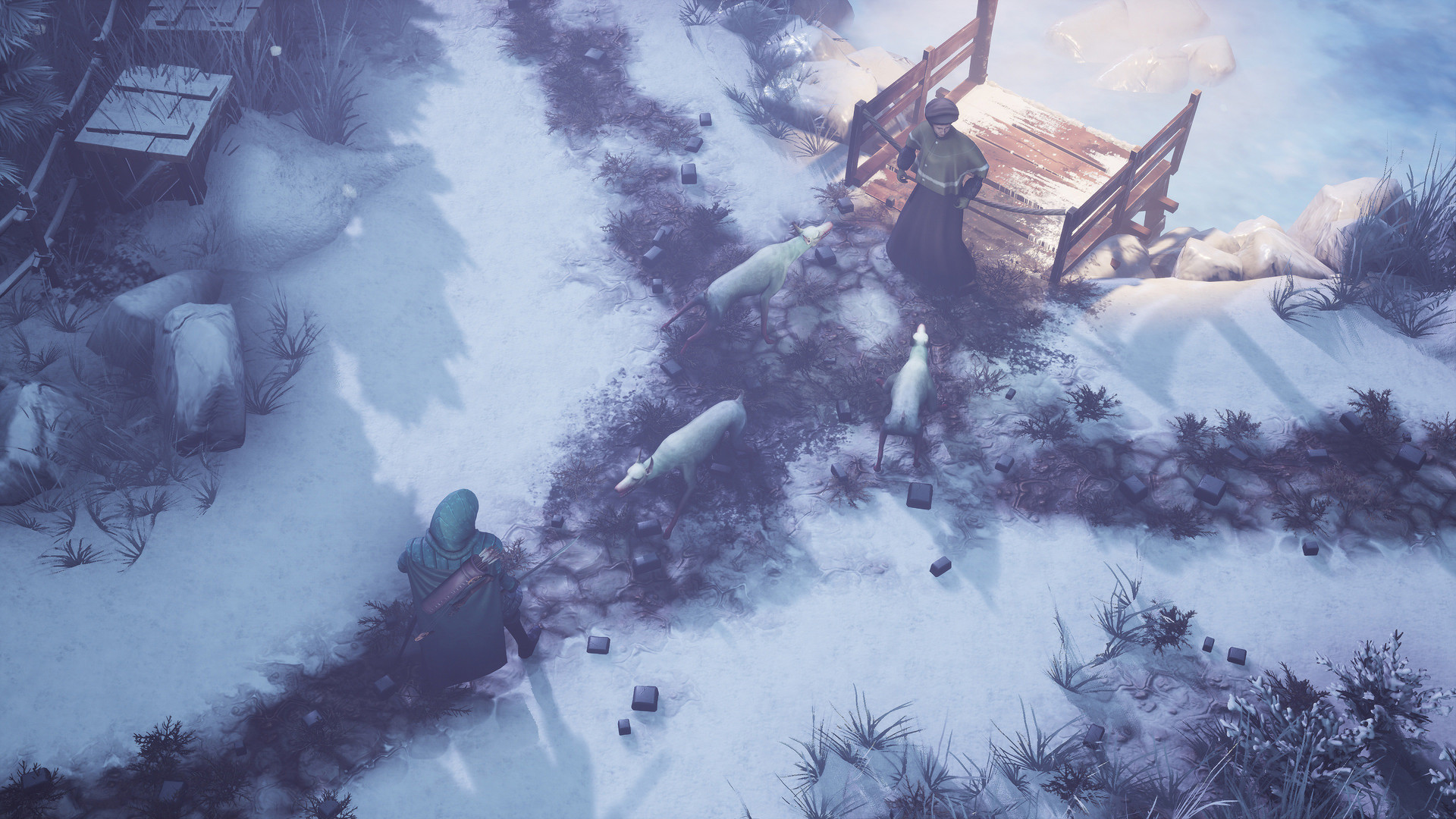 Скриншот: Winter Ember
