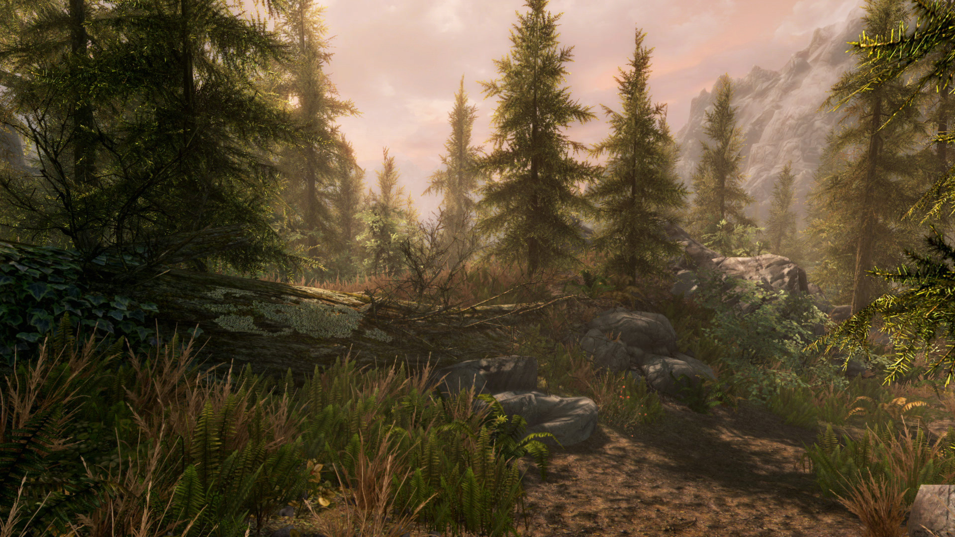 Скриншот: The Elder Scrolls V: Skyrim Special Edition