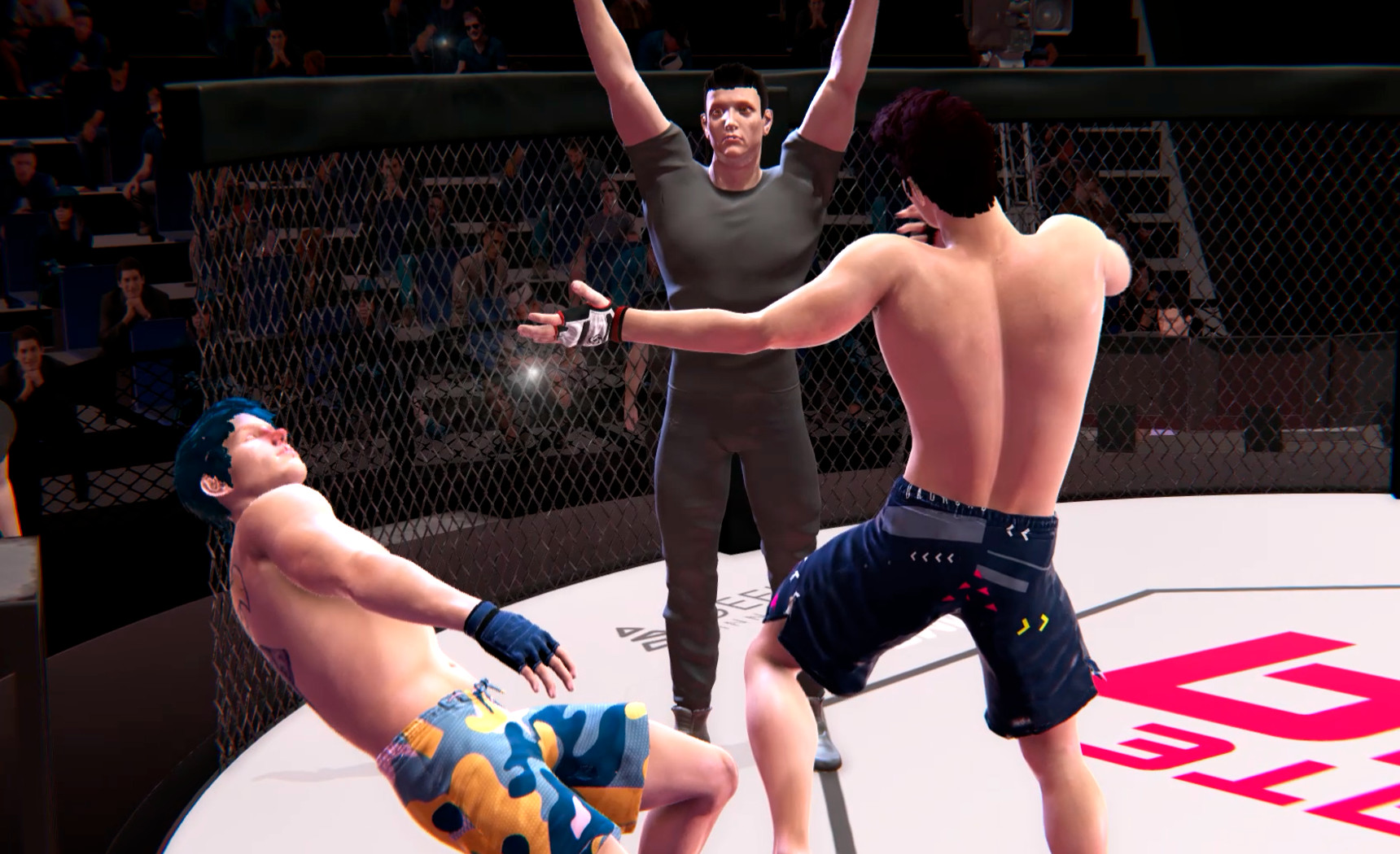 Скриншот: Ultimate MMA