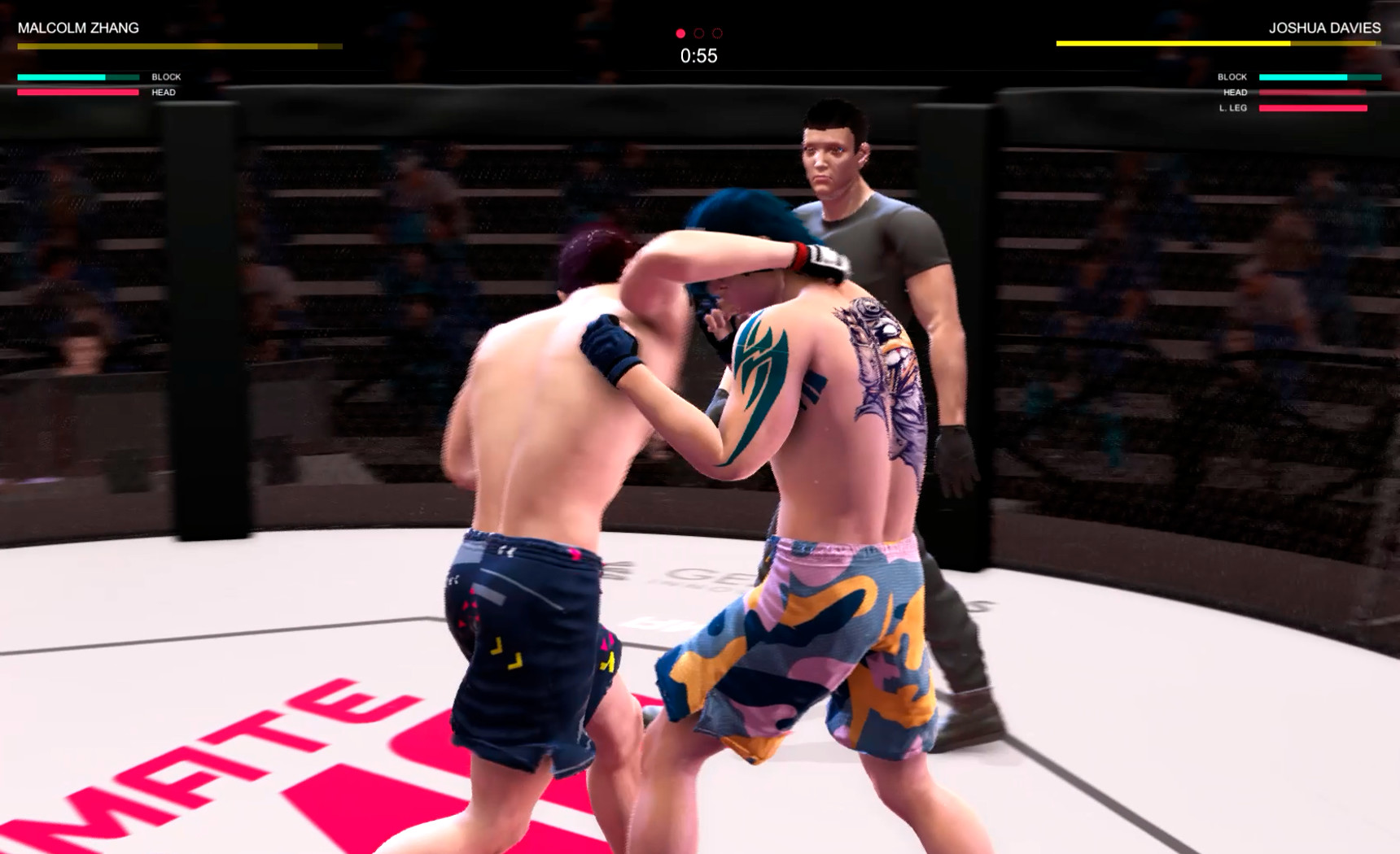 Скриншот: Ultimate MMA