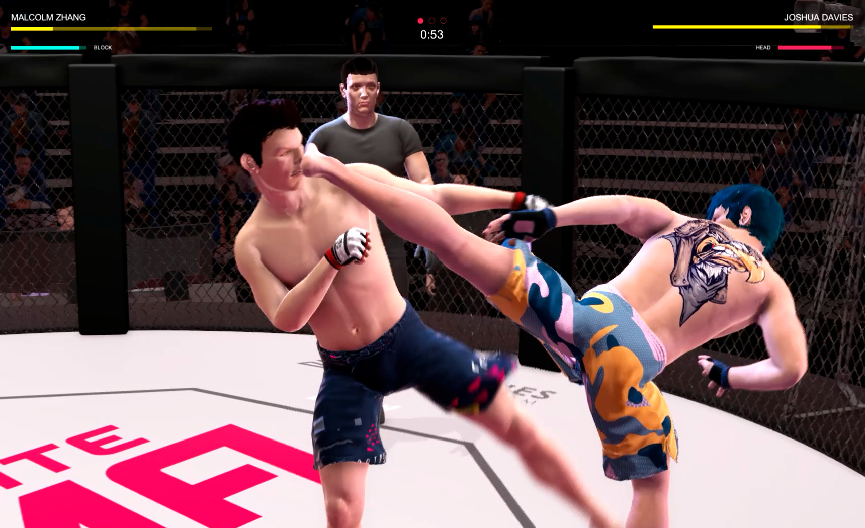Скриншот: Ultimate MMA