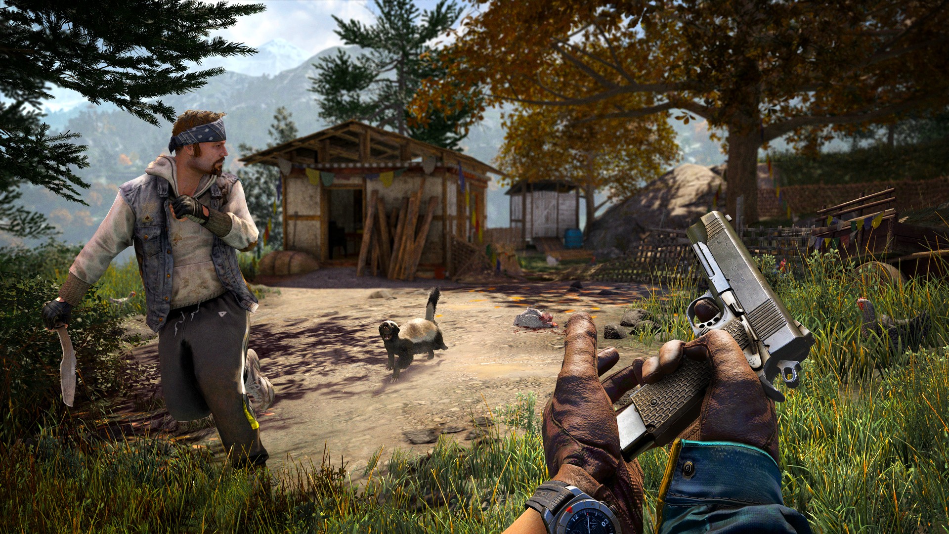 Скриншот: Far Cry® 4