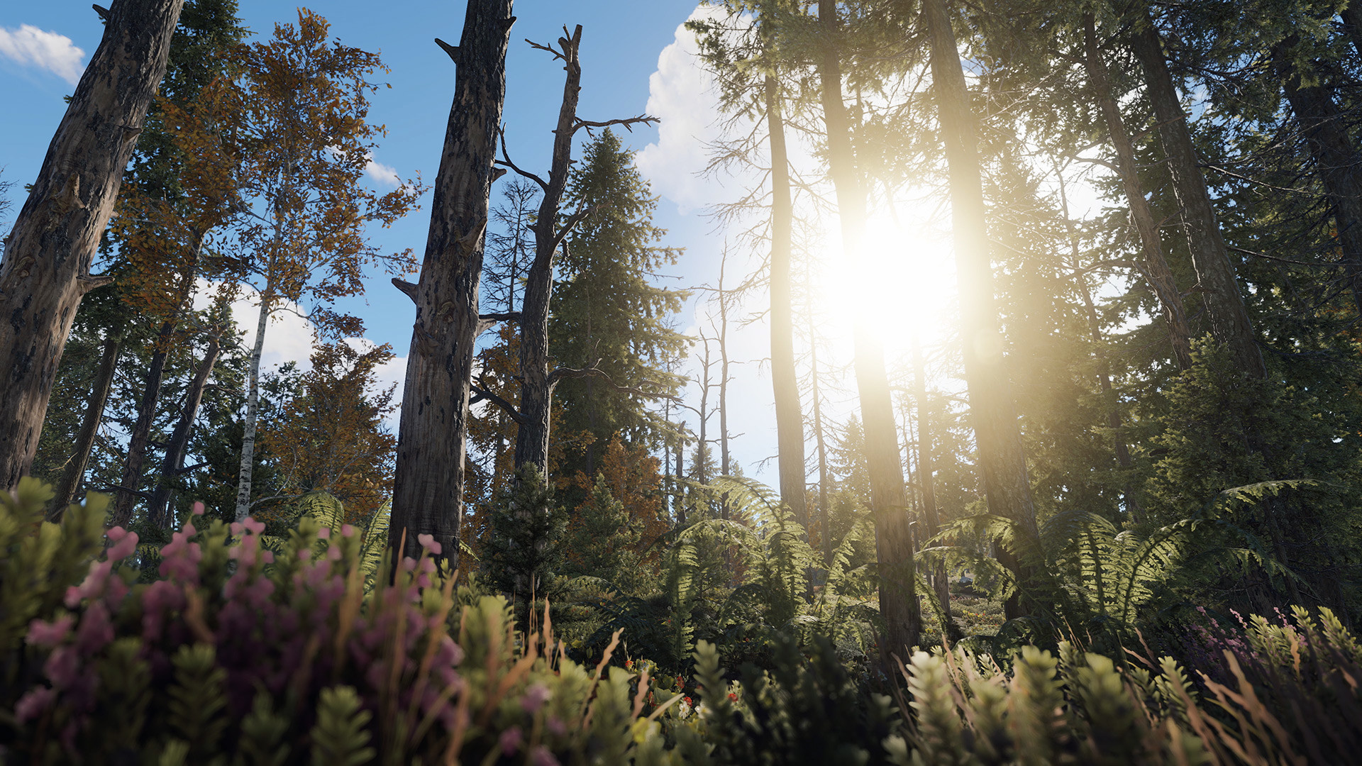 Скриншот: Rust