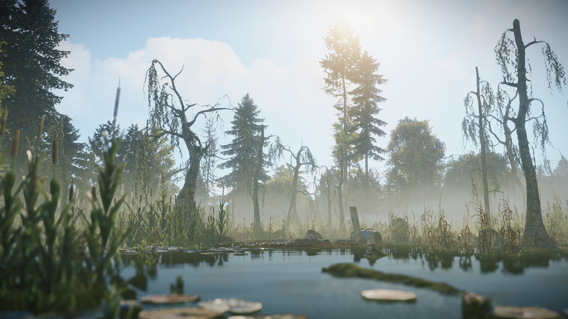 Скриншот: Rust