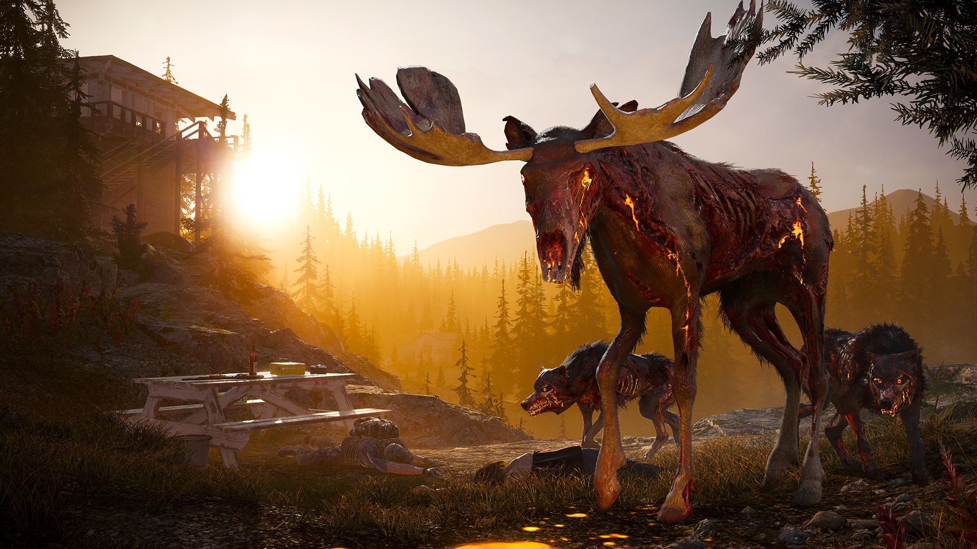 Скриншот: Far Cry® 5
