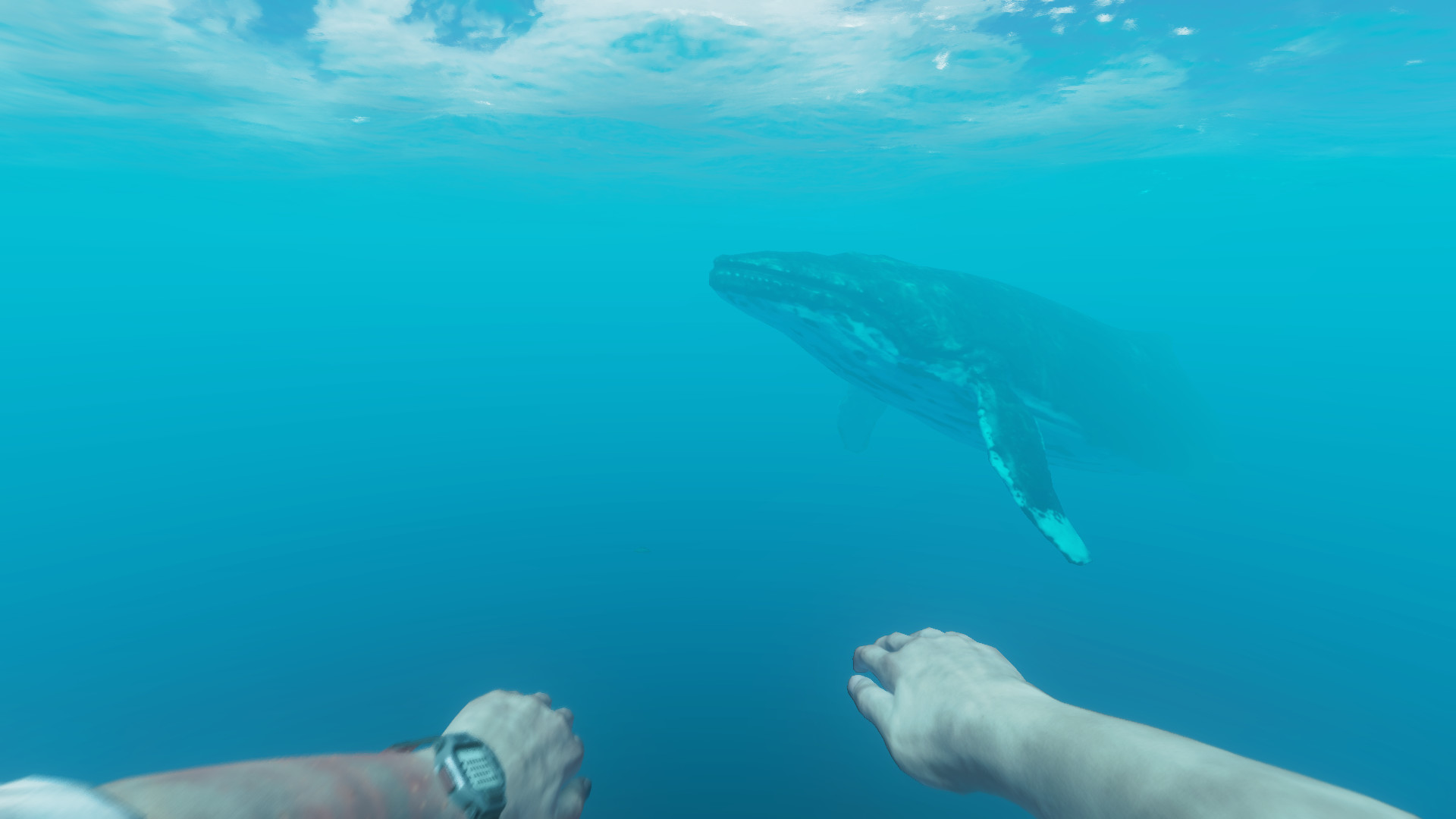 Скриншот: Stranded Deep