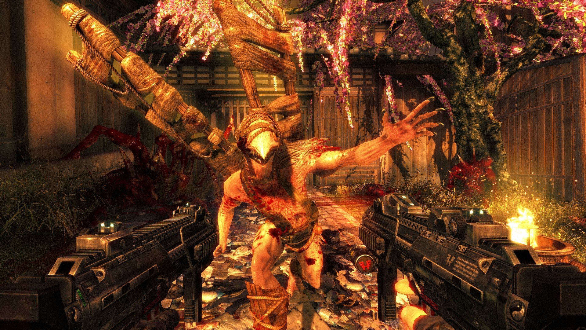 Скриншот: Shadow Warrior