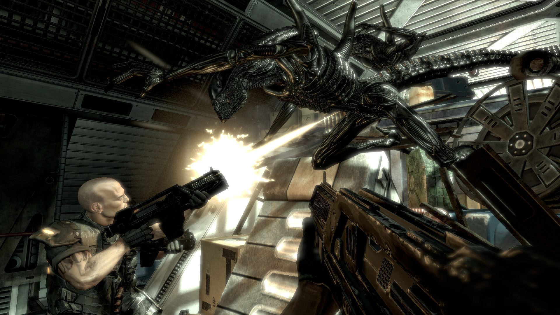 Скриншот: Aliens vs. Predator™