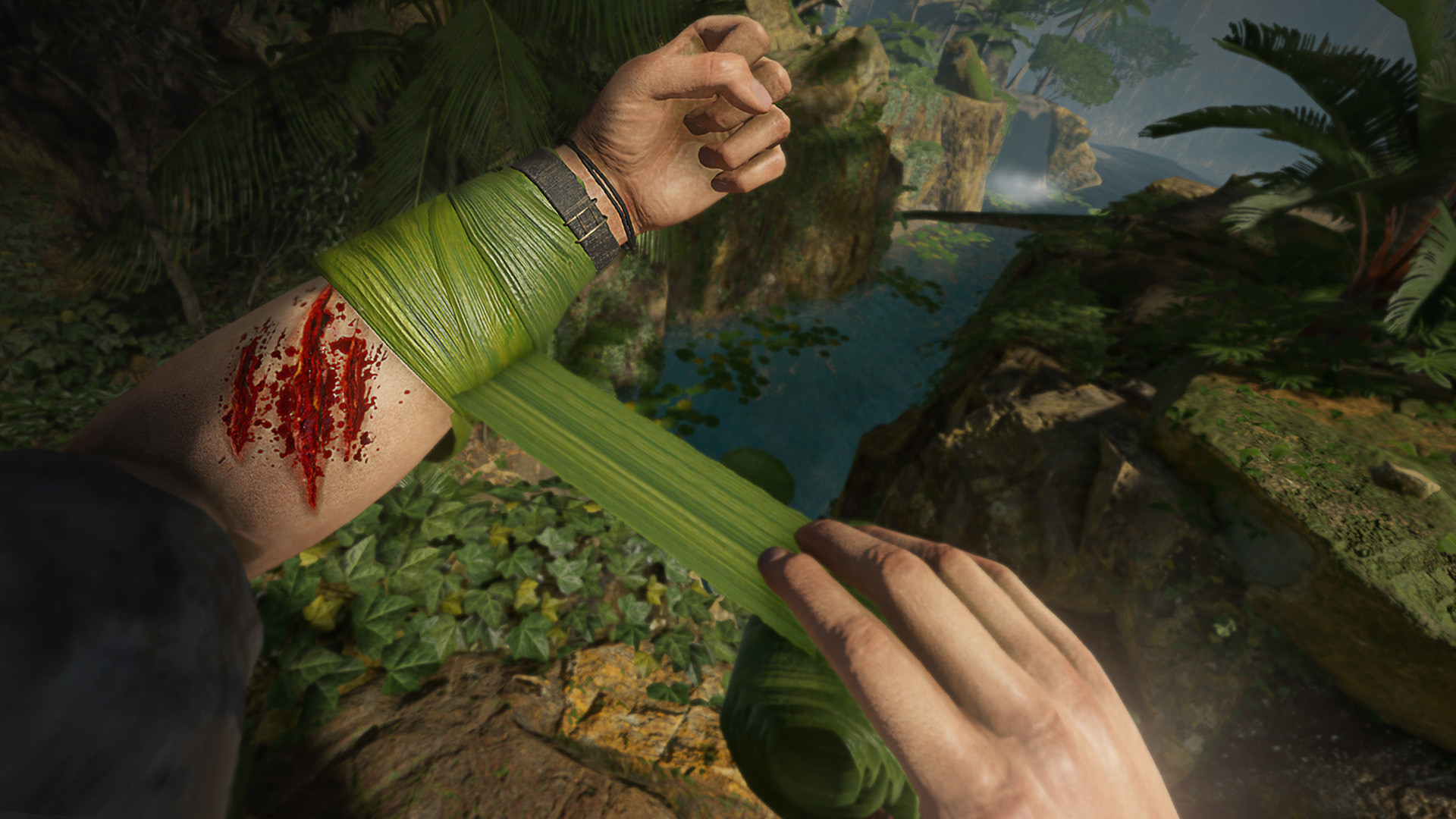 Скриншот: Green Hell VR