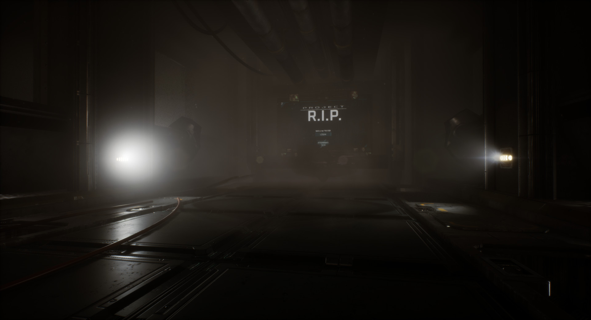Скриншот: Project RIP