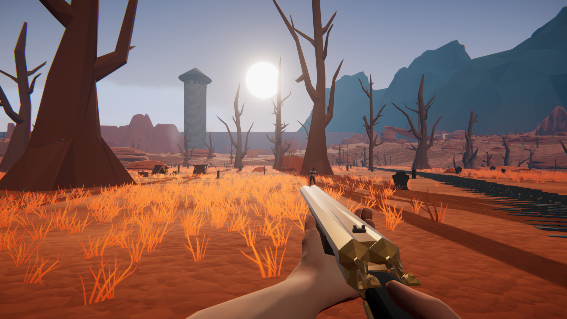 Скриншот: Wild West and Wizards