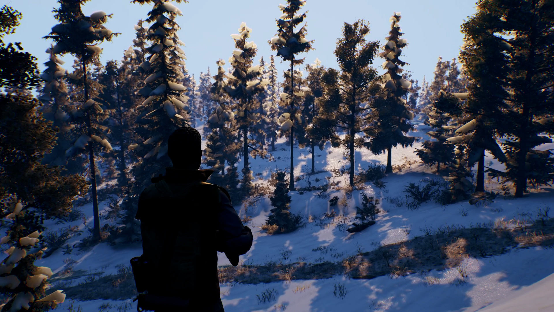 Скриншот: Open Country