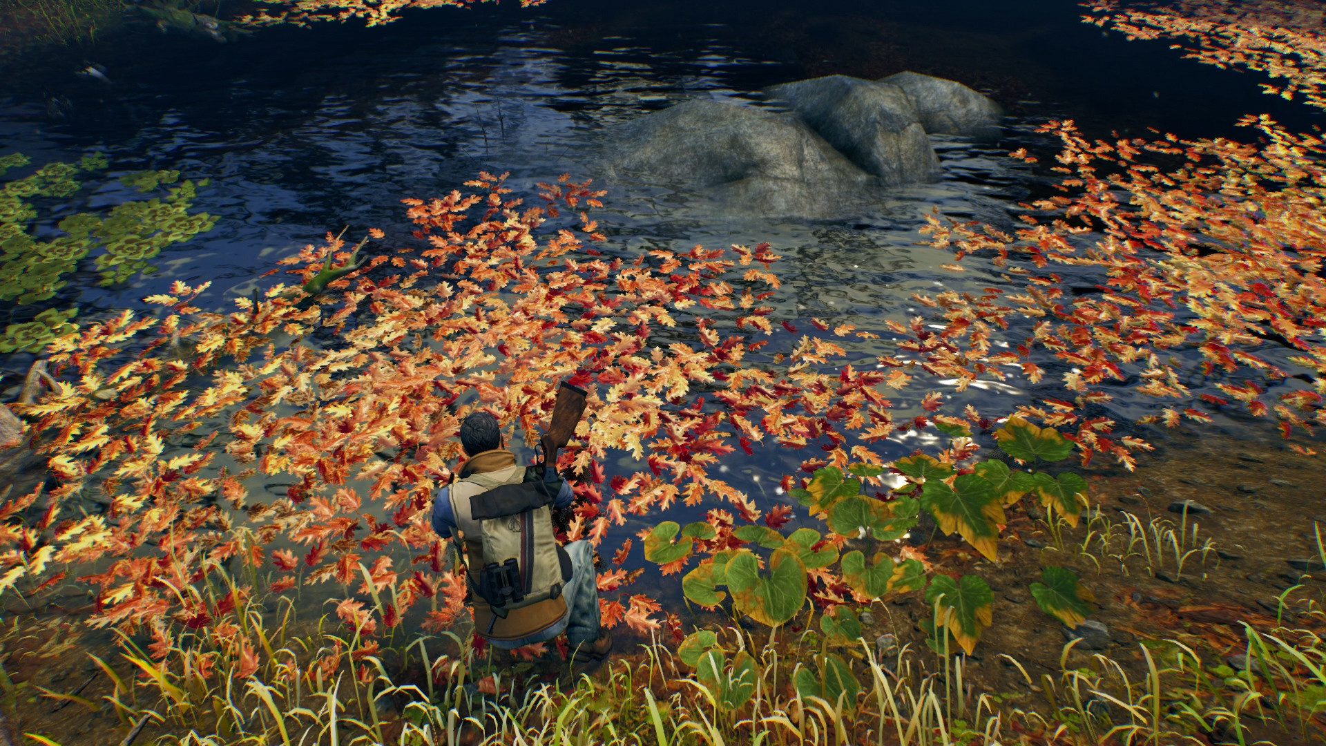 Скриншот: Open Country