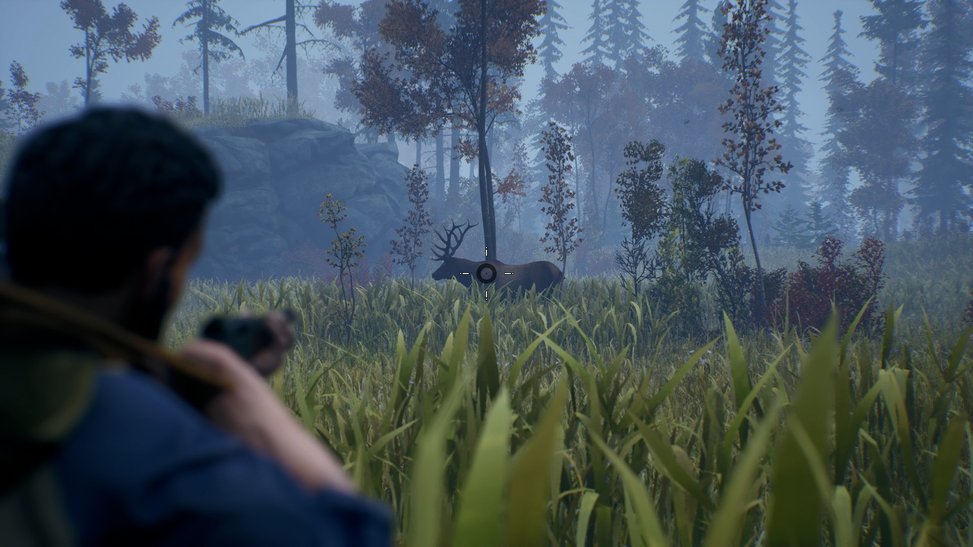 Скриншот: Open Country
