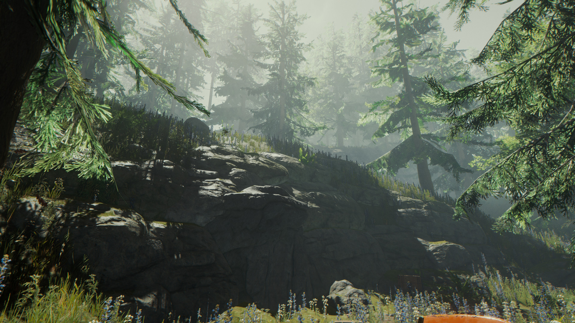 Скриншот: The Forest