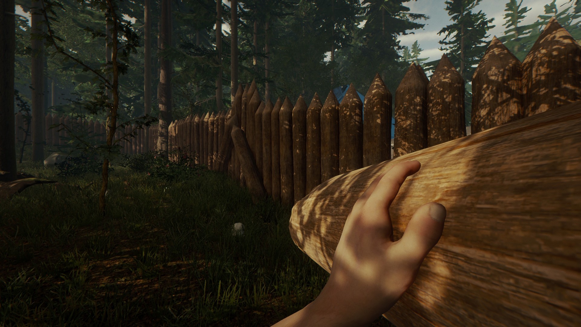 Скриншот: The Forest