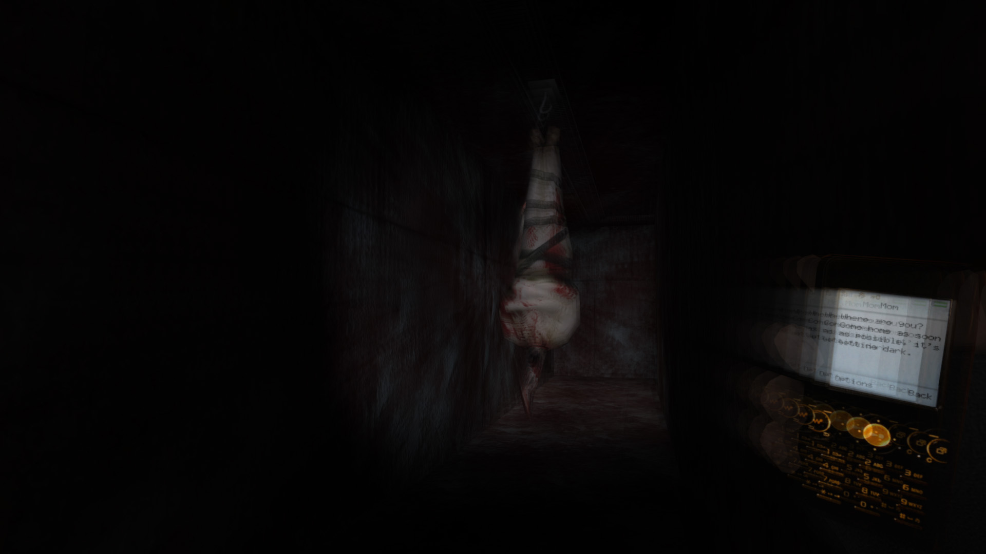 Скриншот: Cry of Fear