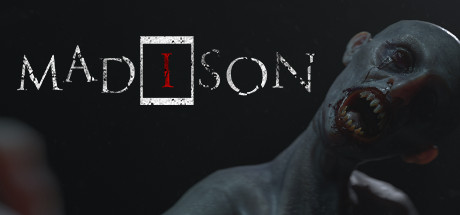 Обложка игры: MADiSON