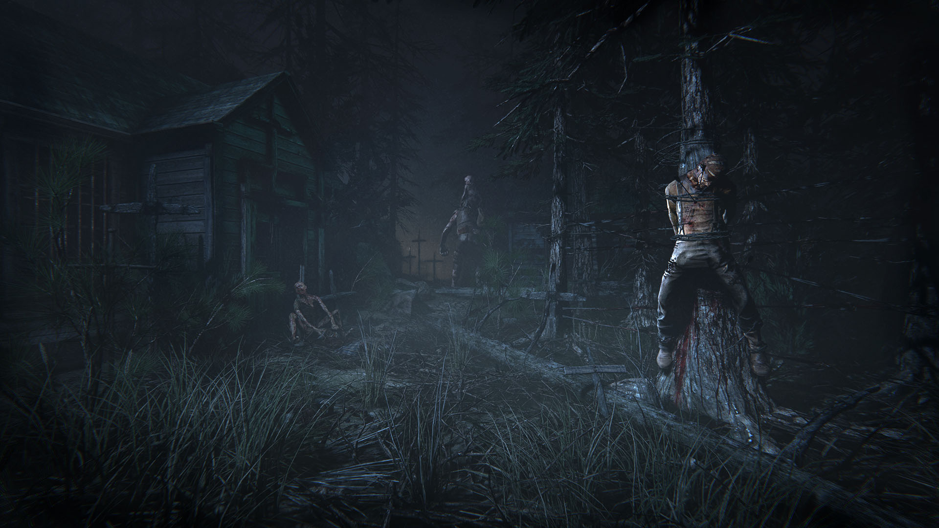 Скриншот: Outlast 2