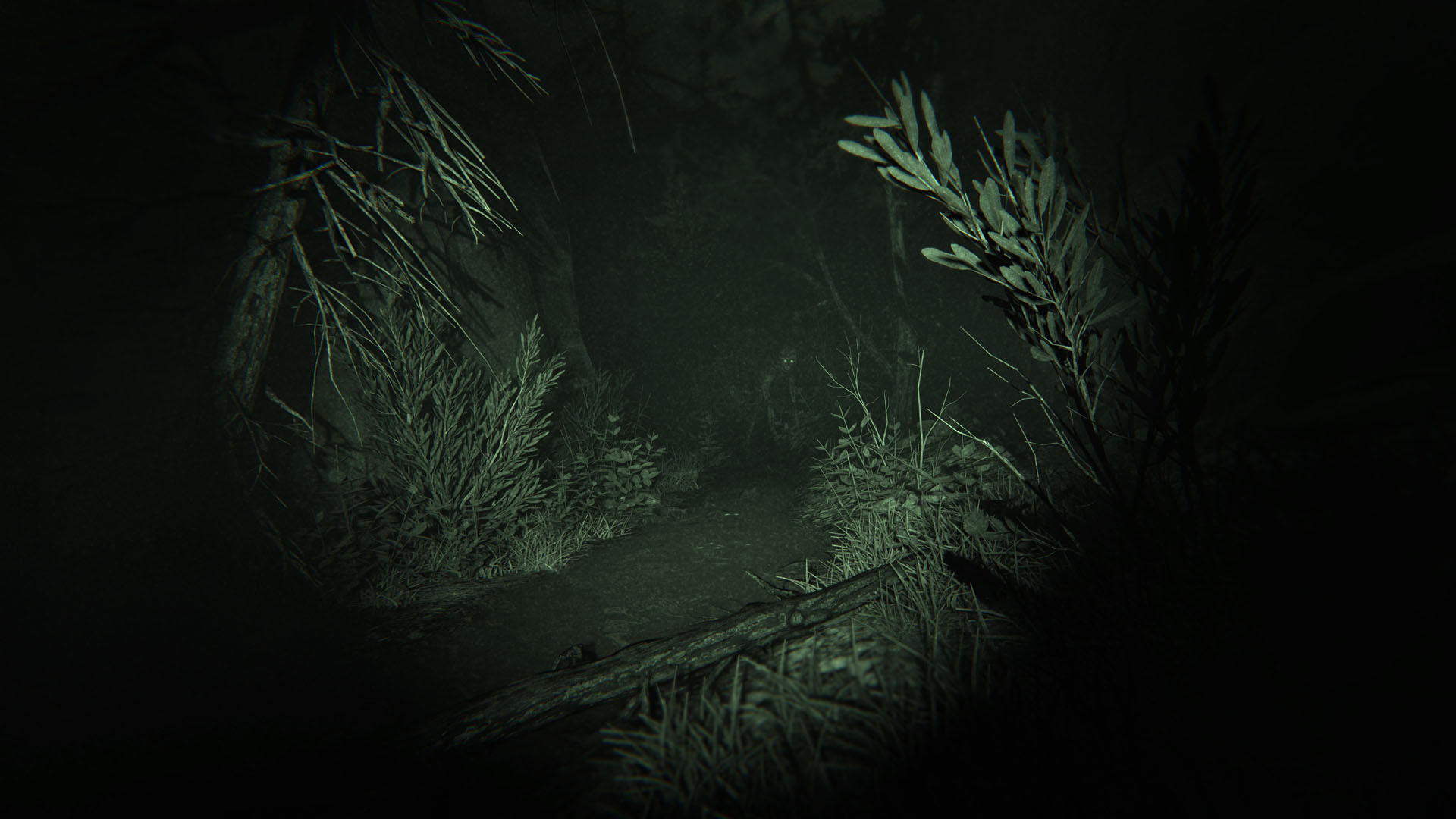 Скриншот: Outlast 2
