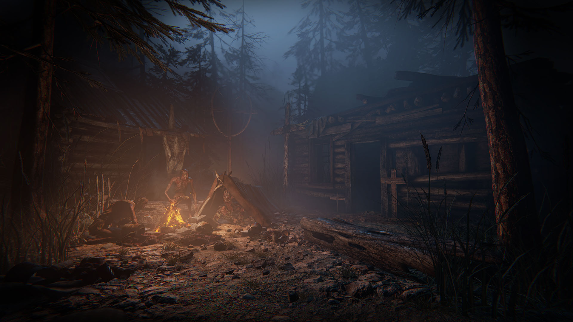 Скриншот: Outlast 2