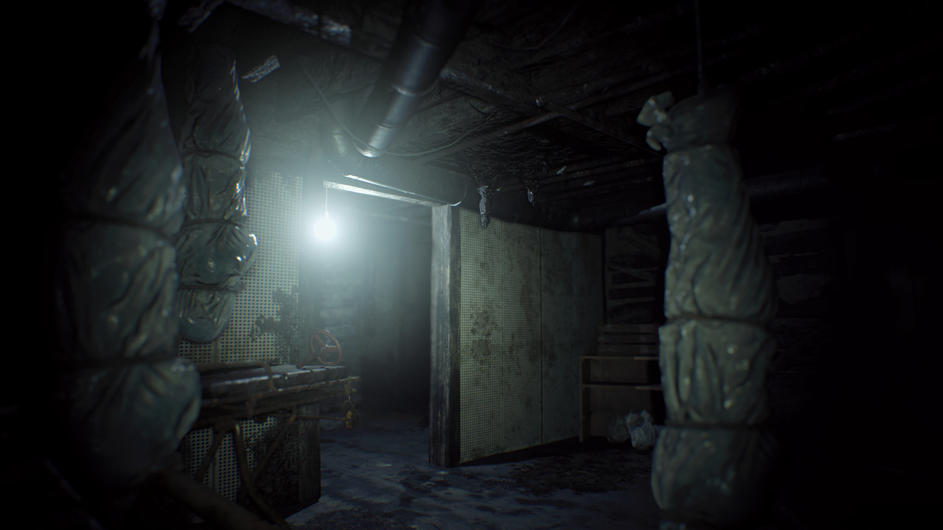 Скриншот: Resident Evil 7 Teaser: Beginning Hour