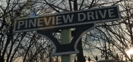Обложка: Pineview Drive