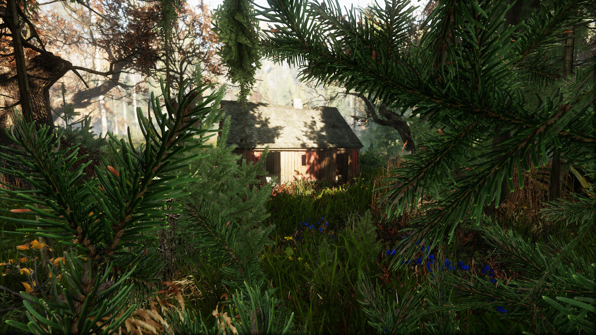 Скриншот: The Land of Pain