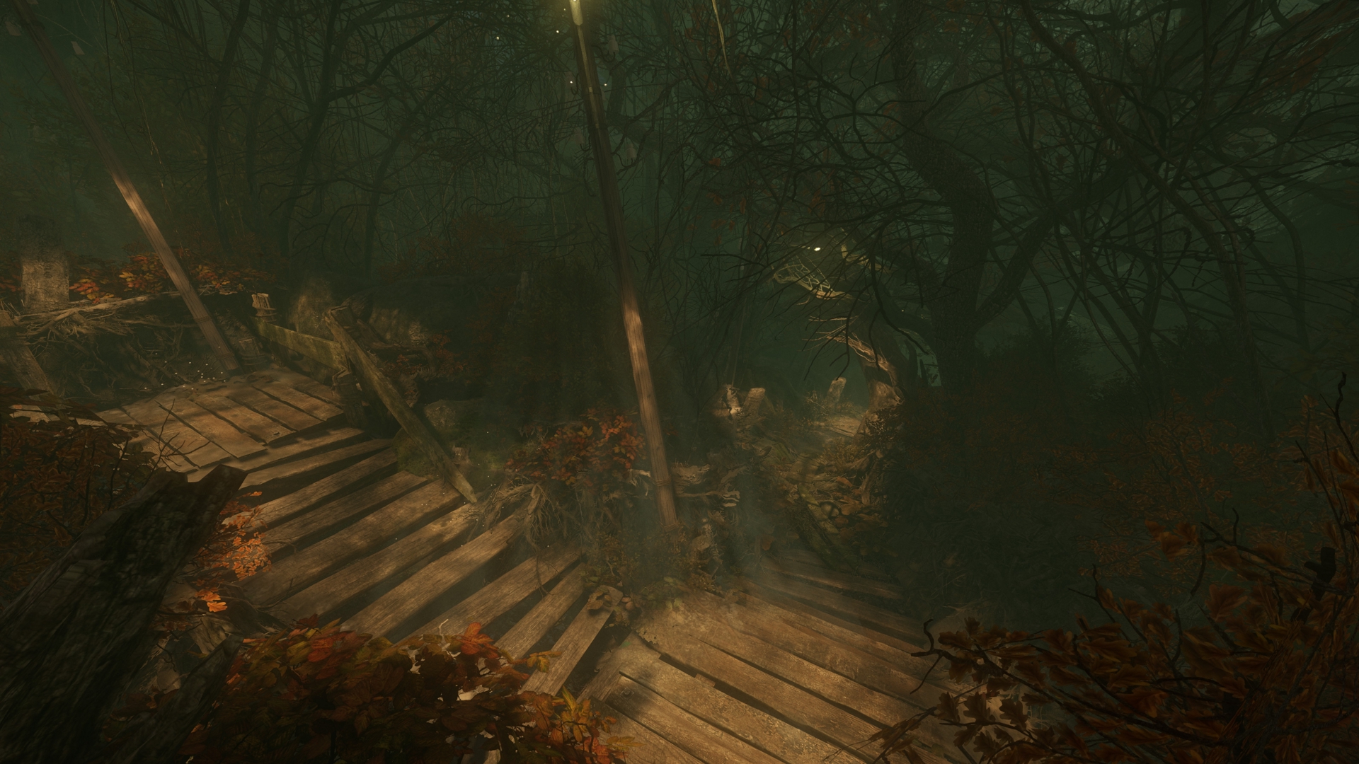 Скриншот: The Cursed Forest