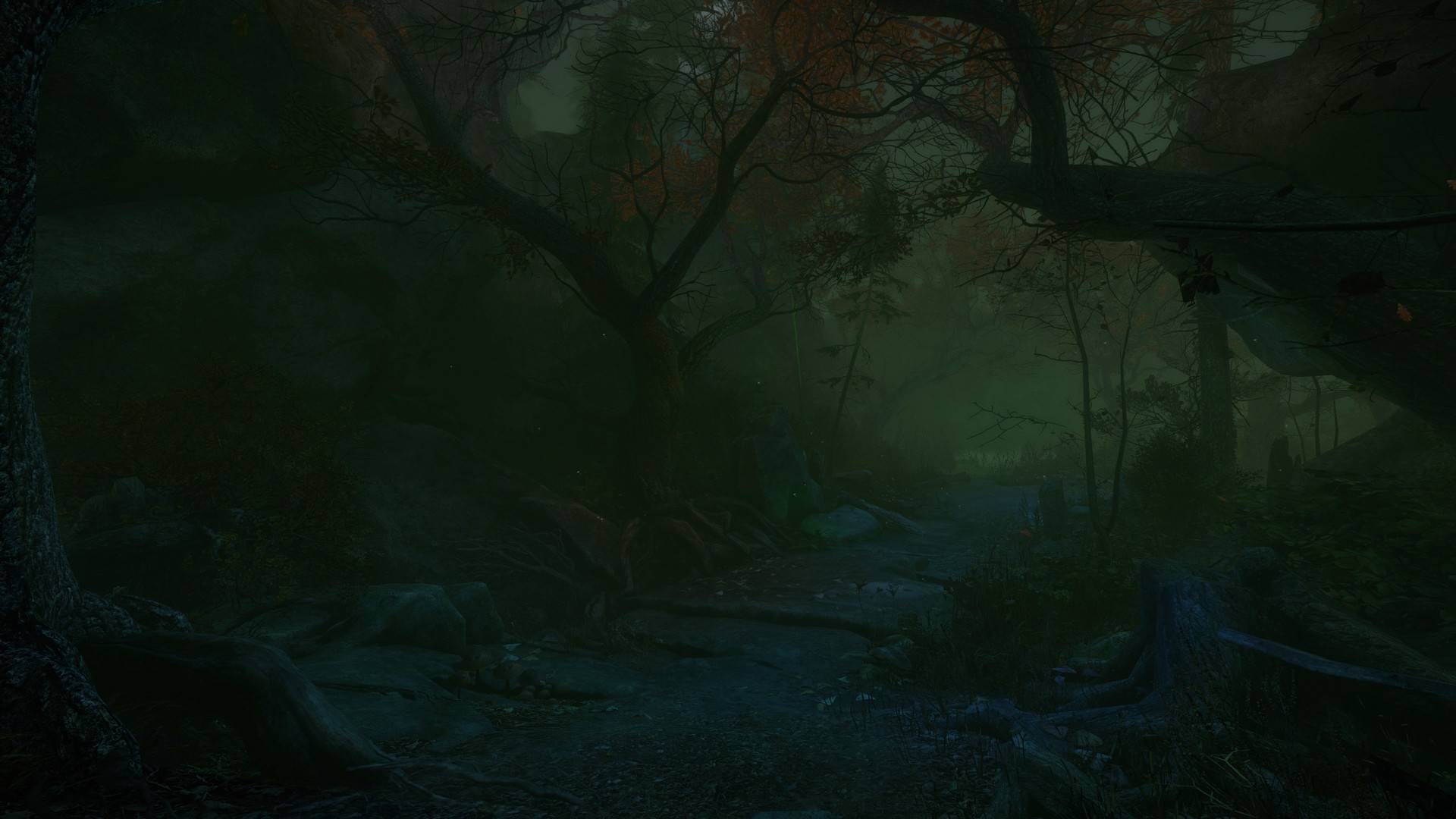 Скриншот: The Cursed Forest