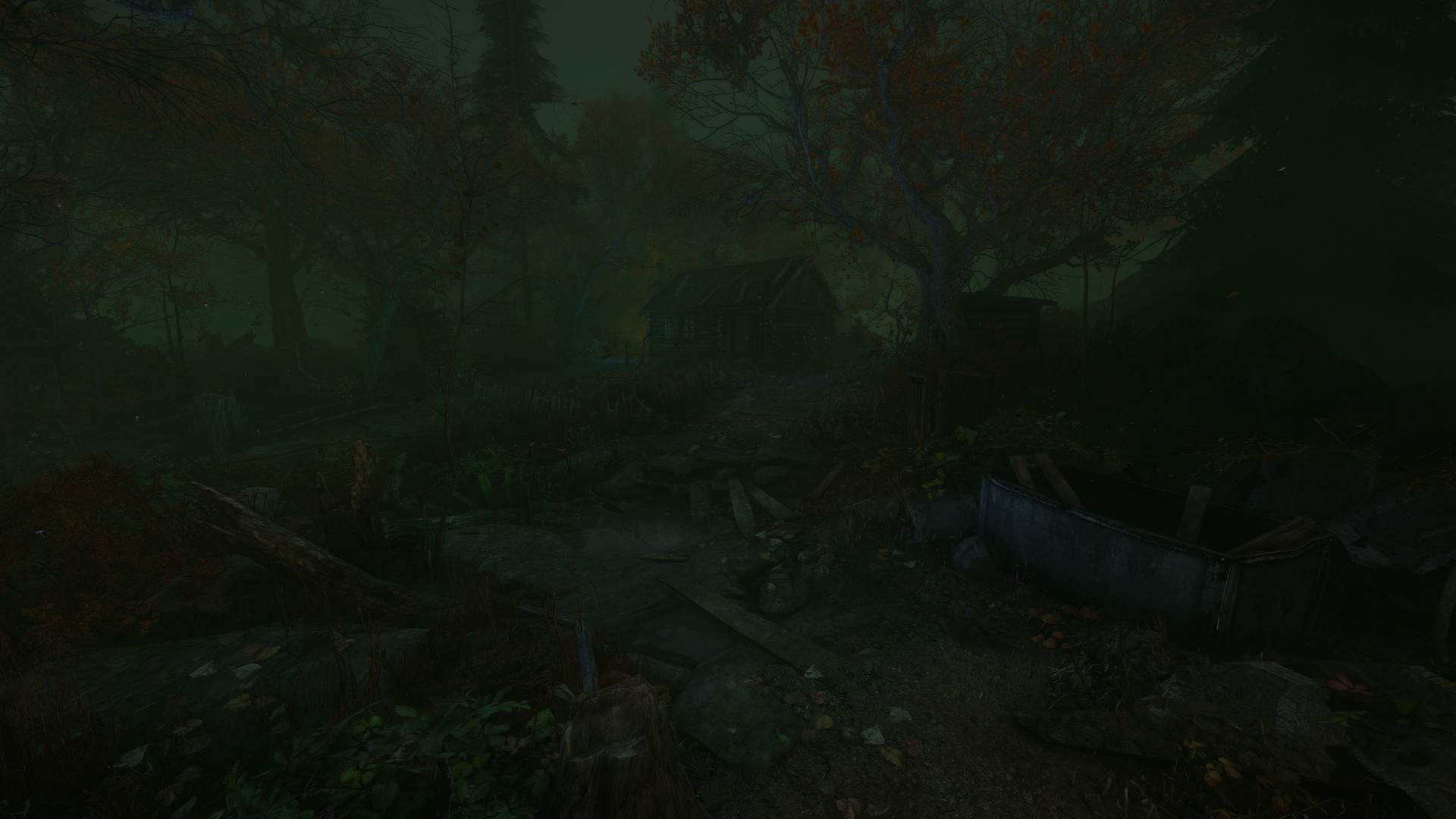Скриншот: The Cursed Forest