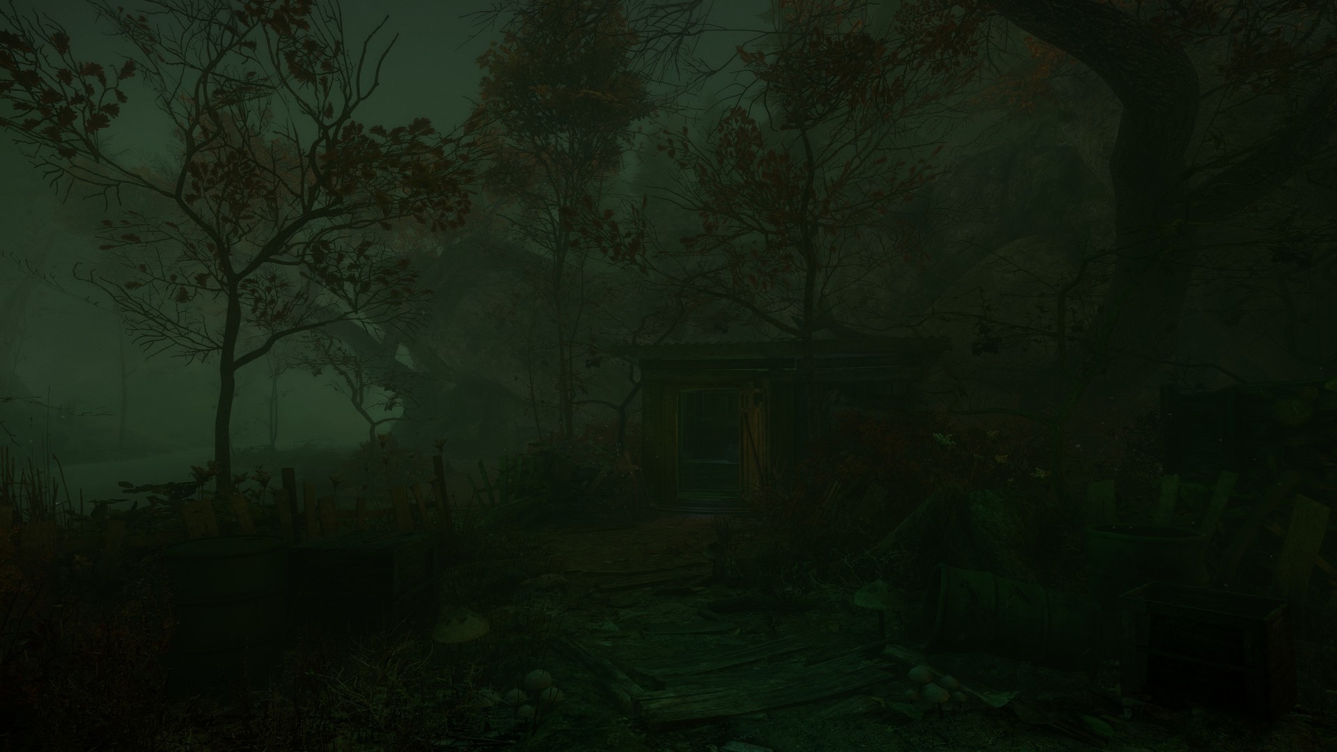 Скриншот: The Cursed Forest