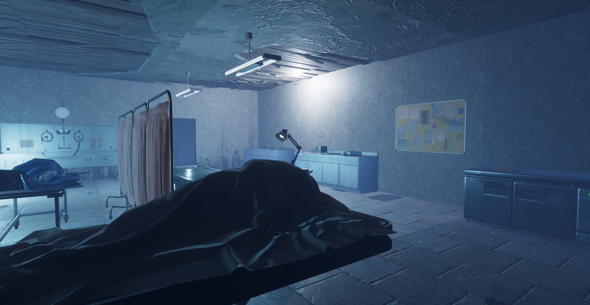 Скриншот: Psychiatric Hospital