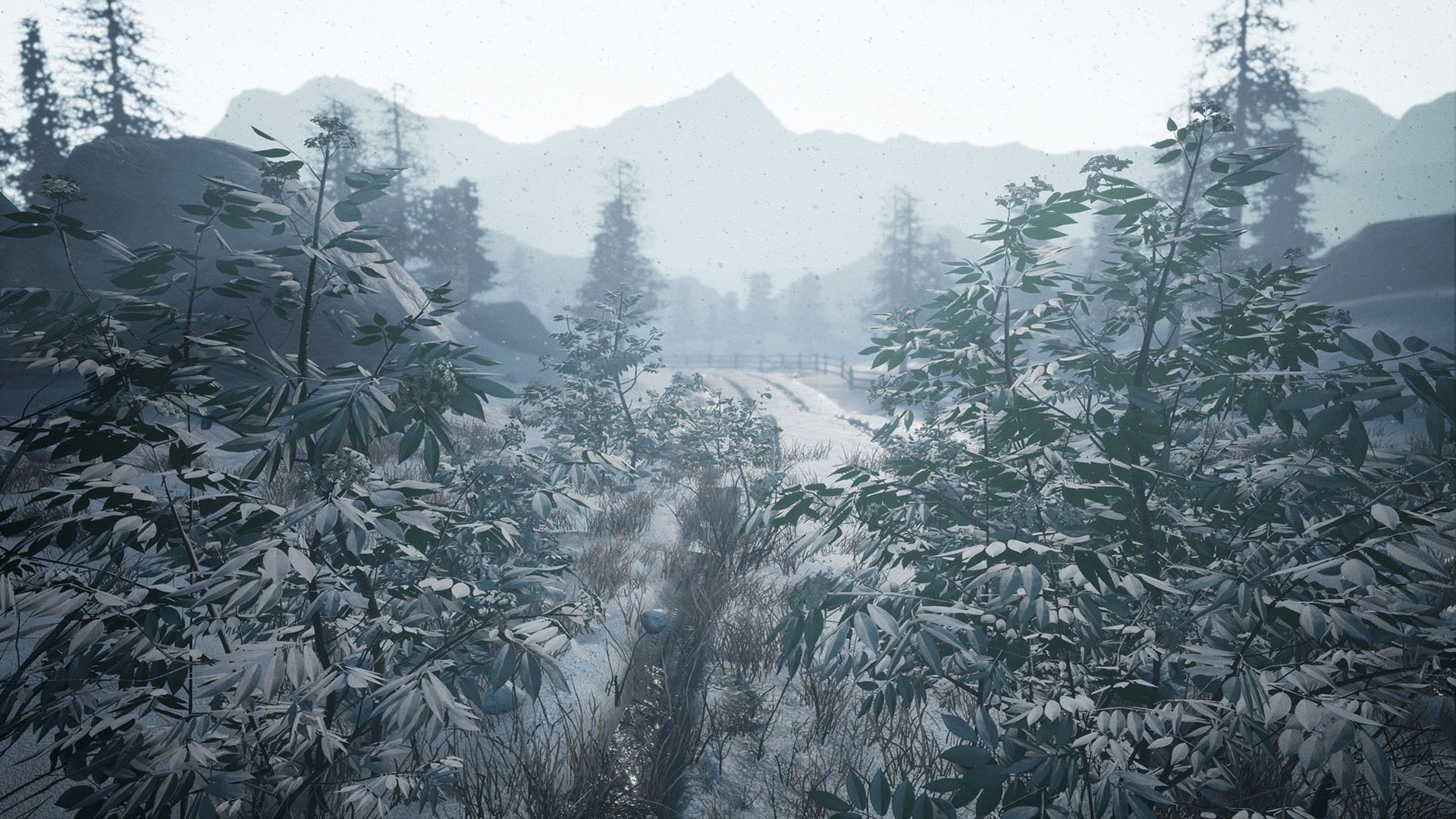 Скриншот: Forgotten Land