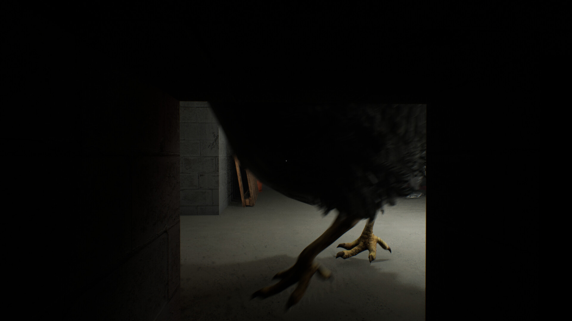 Скриншот: Chicken Feet