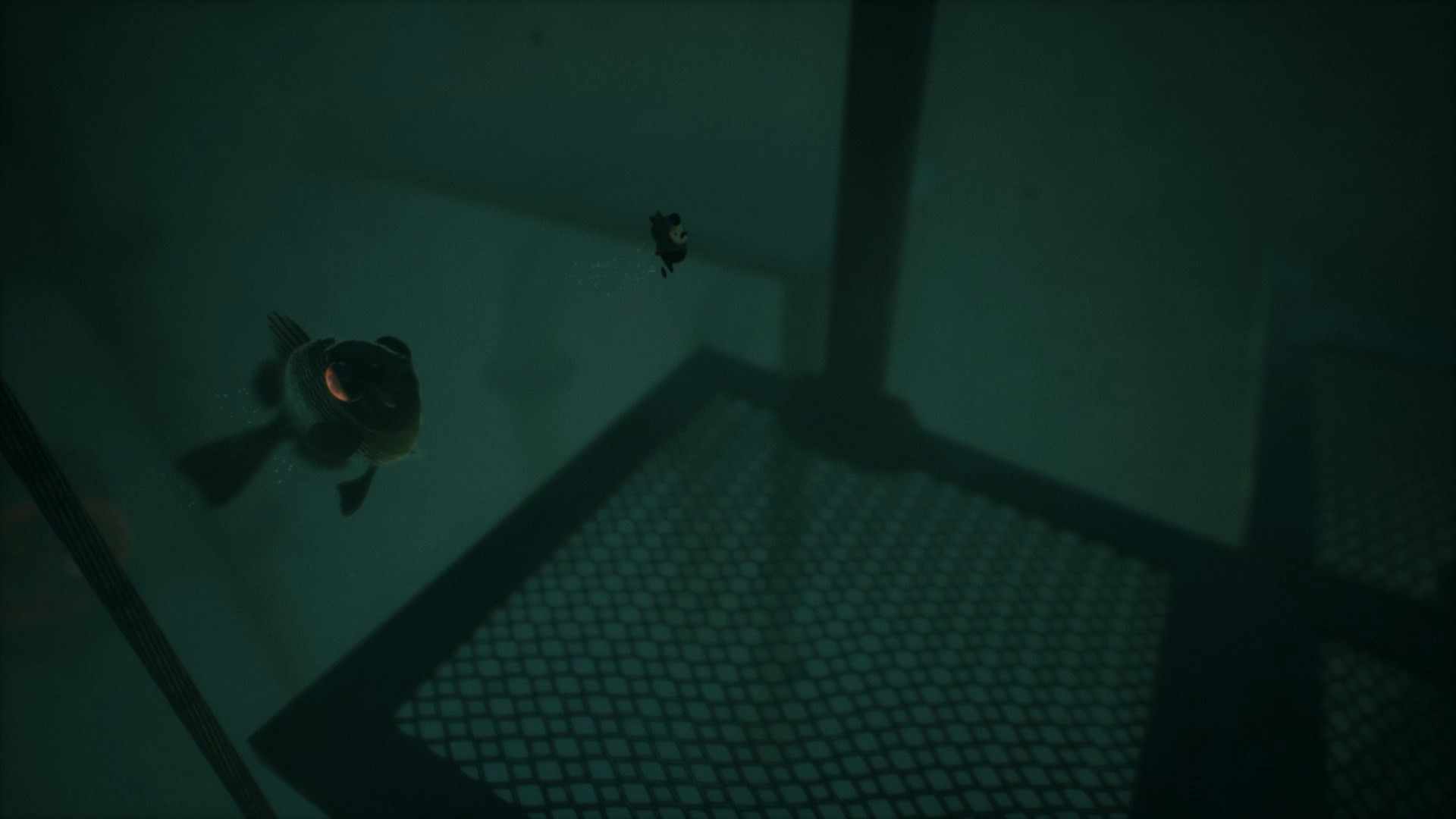 Скриншот: KEEP OUT