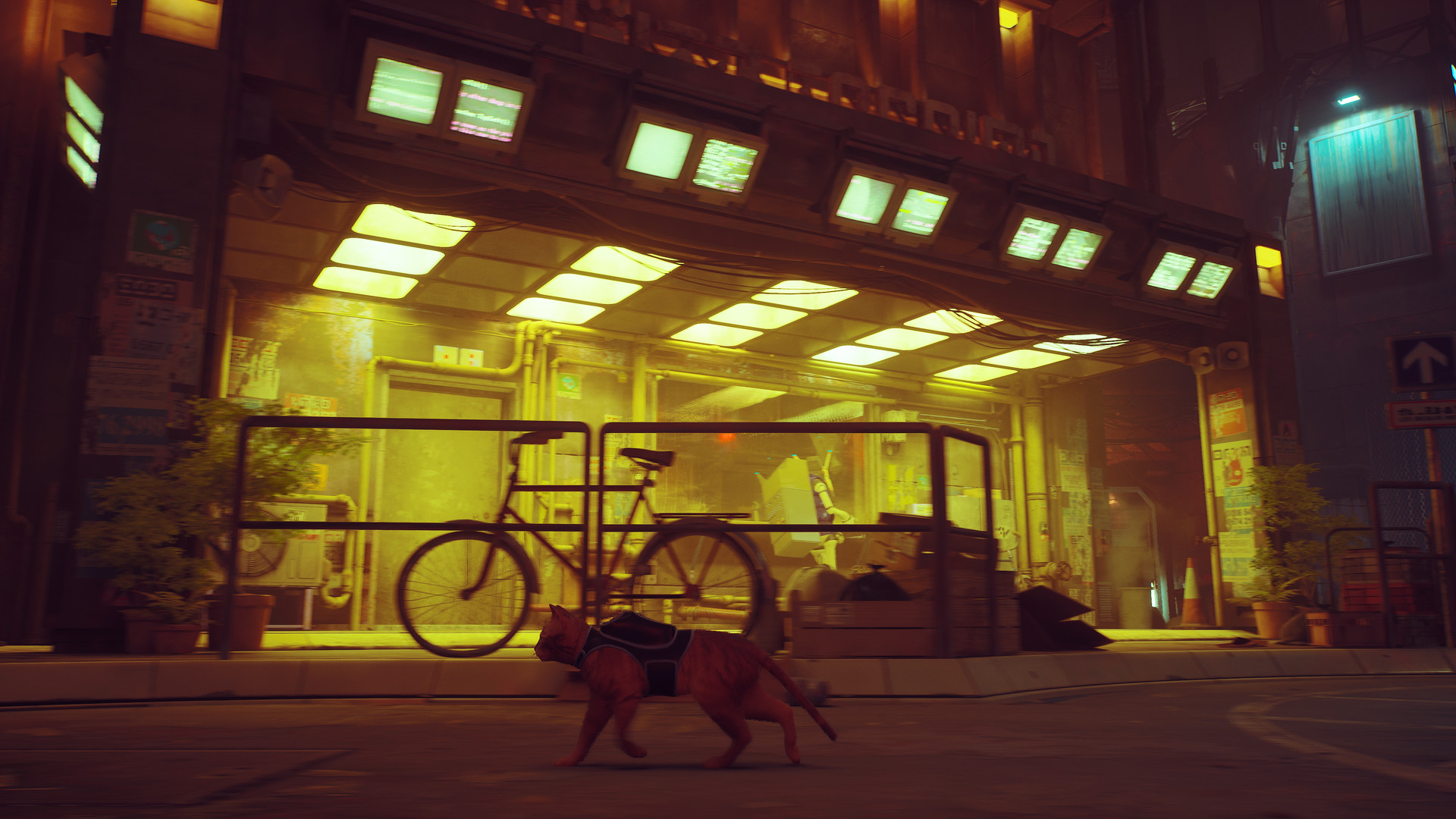 Скриншот: Stray