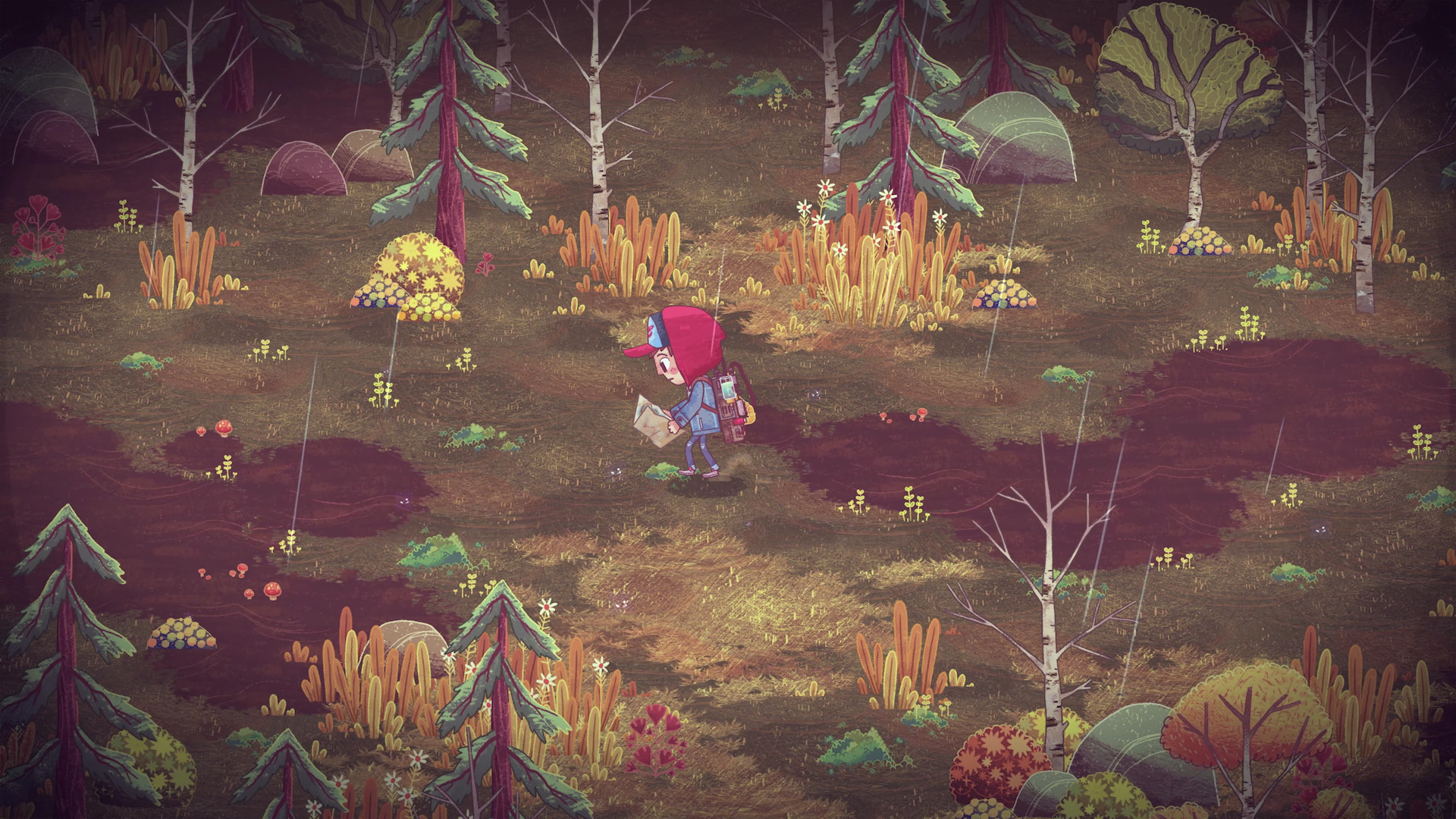 Скриншот: The Wild at Heart