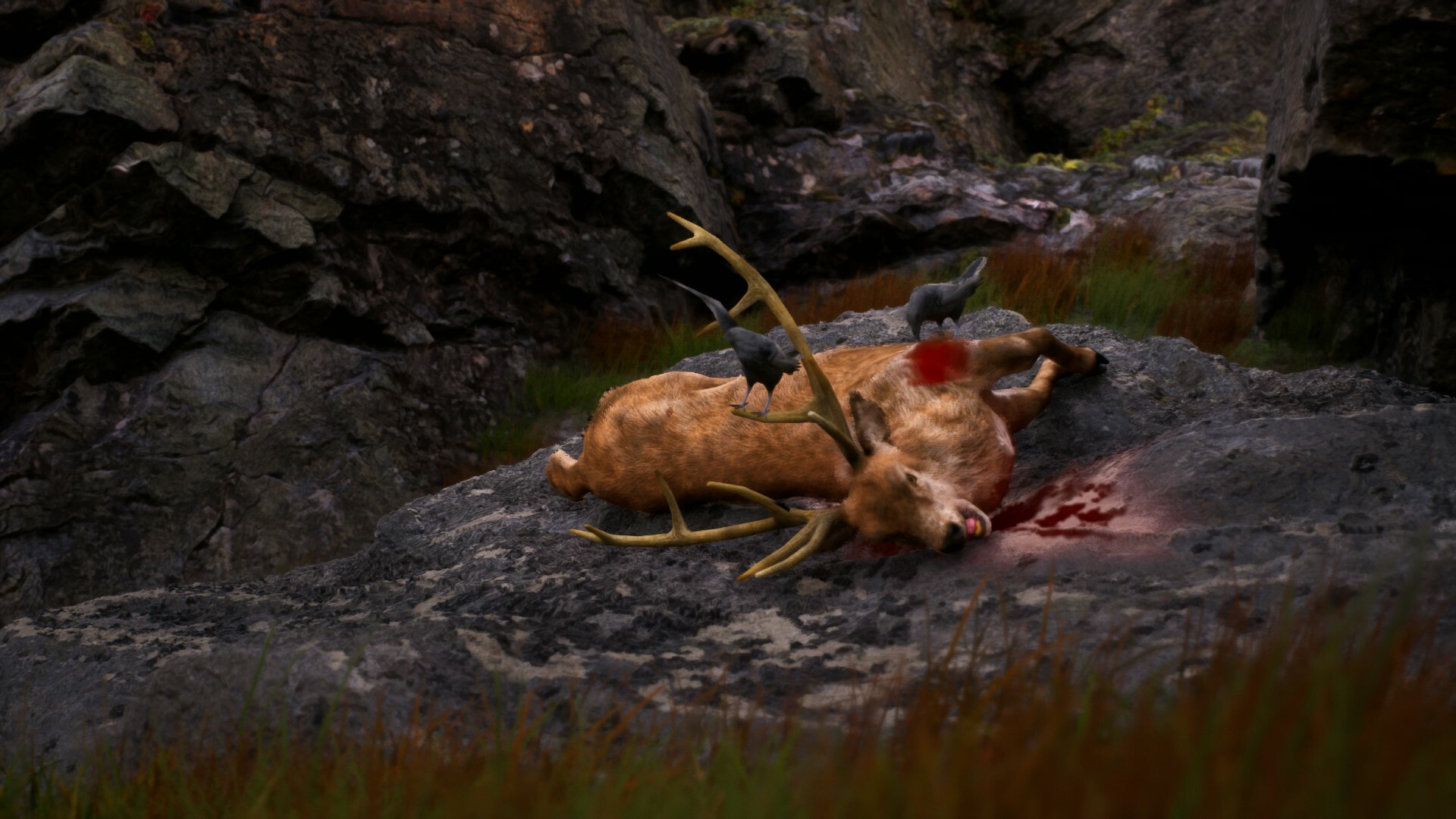 Скриншот: Once Alive