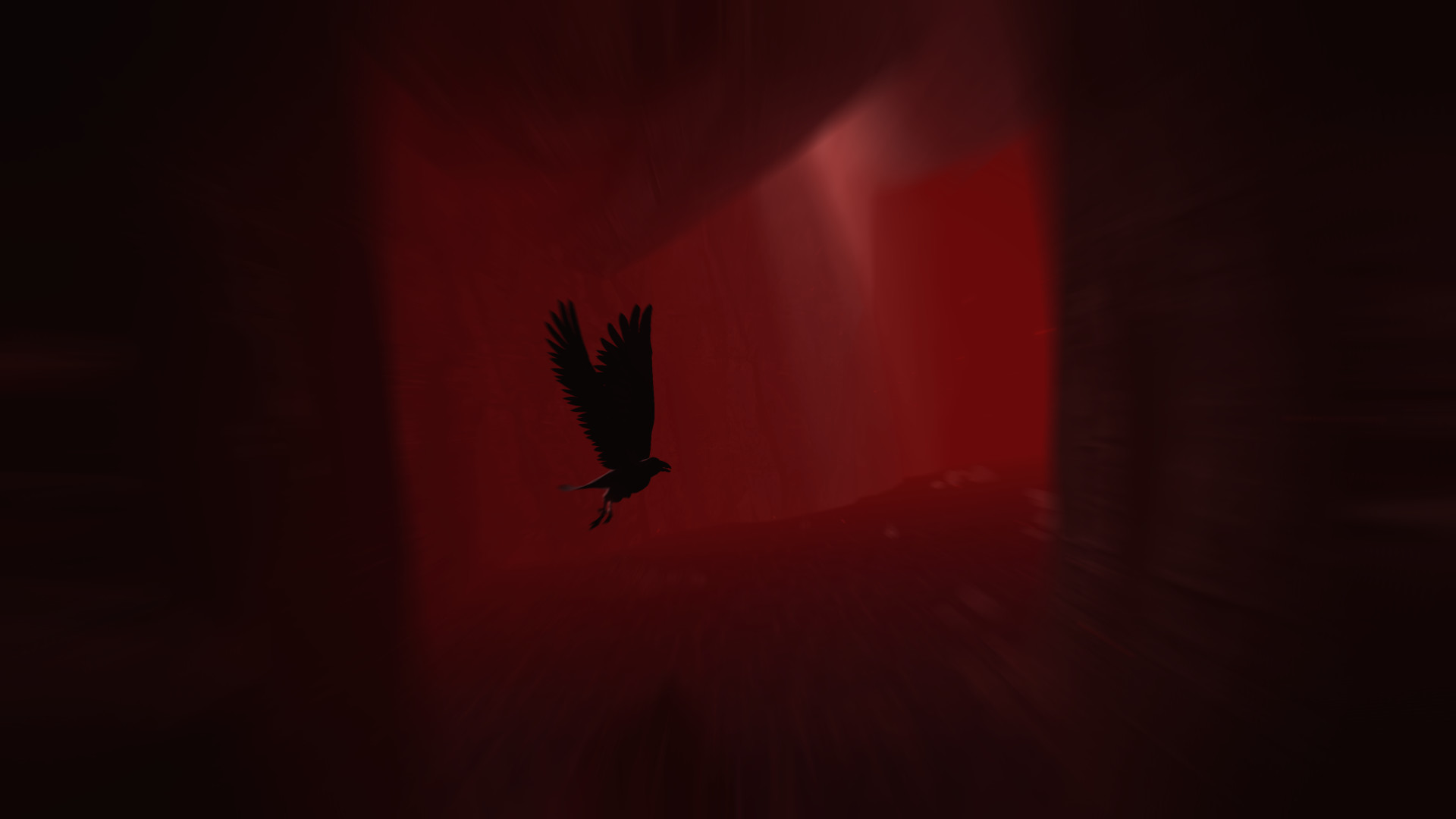 Скриншот: Rise of Insanity