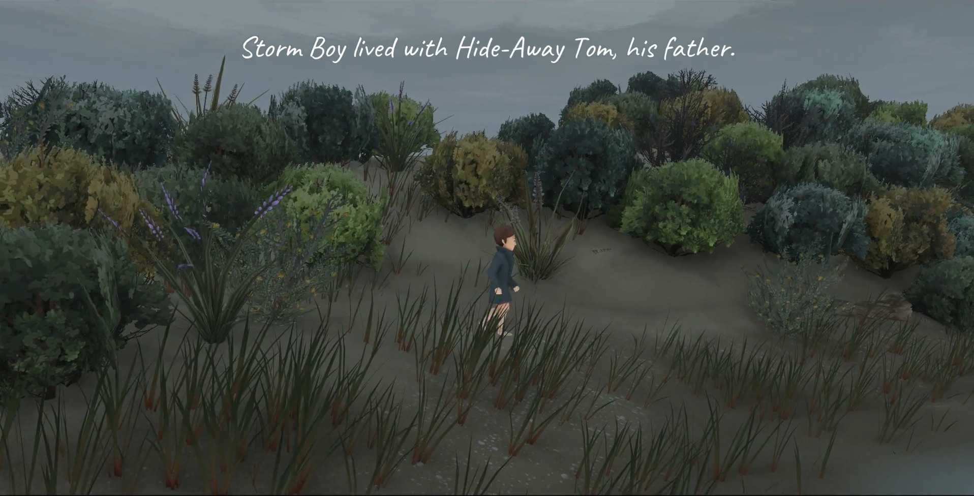 Скриншот: Storm Boy