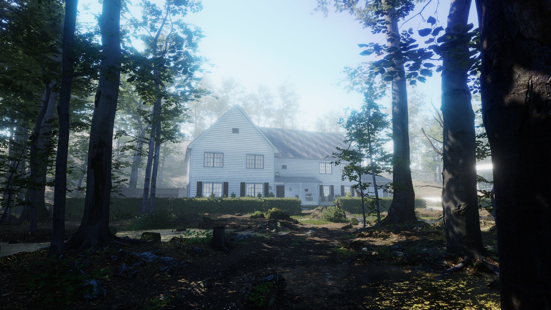 Скриншот: The House in the Forest
