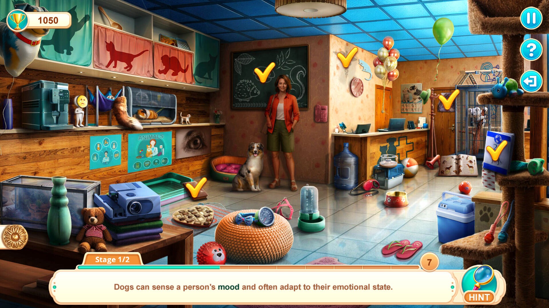 Скриншот: Home for Friends: Loving Paws Collector's Edition